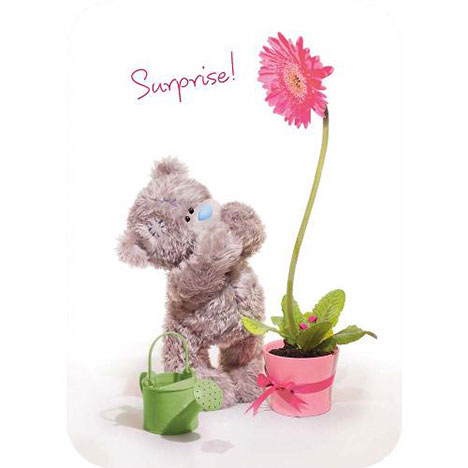 Tatty Teddy with Flower Pot Birthday Me to You Bear Card £1.60